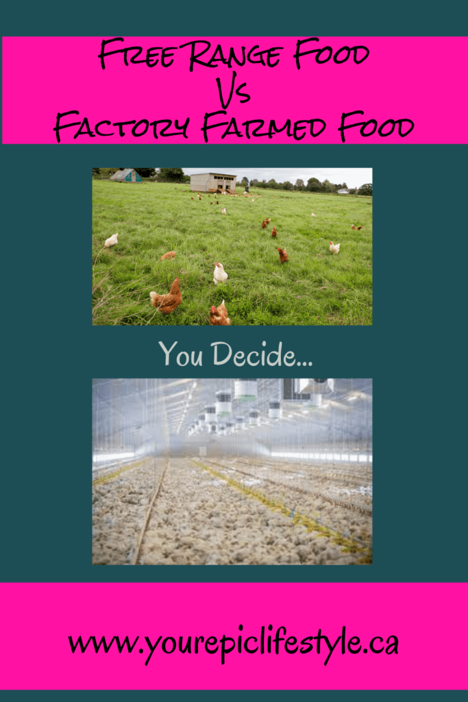 The difference between free range food and factory farmed food