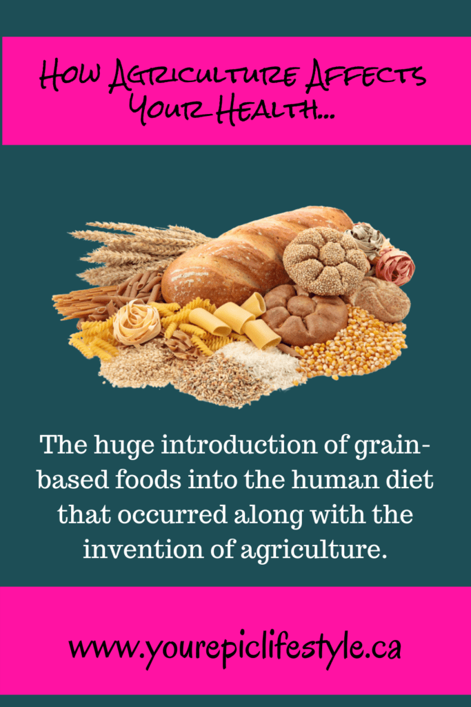 How agricultures affects the human diet