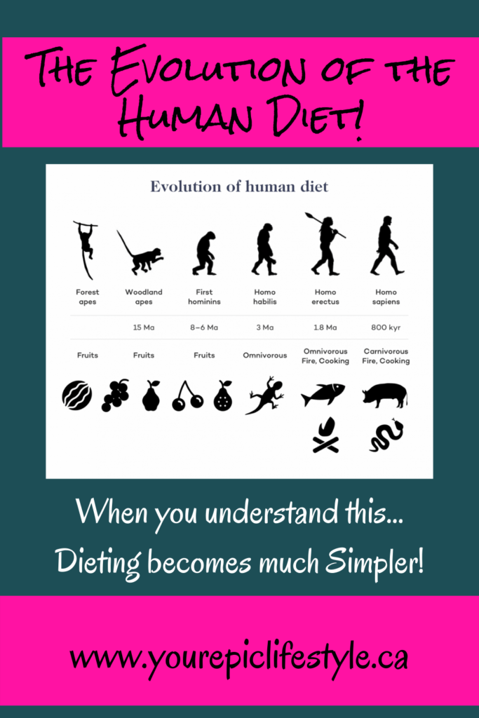 Understanding the Evolution of the Human Diet. Understanding this will make dieting that much simpler