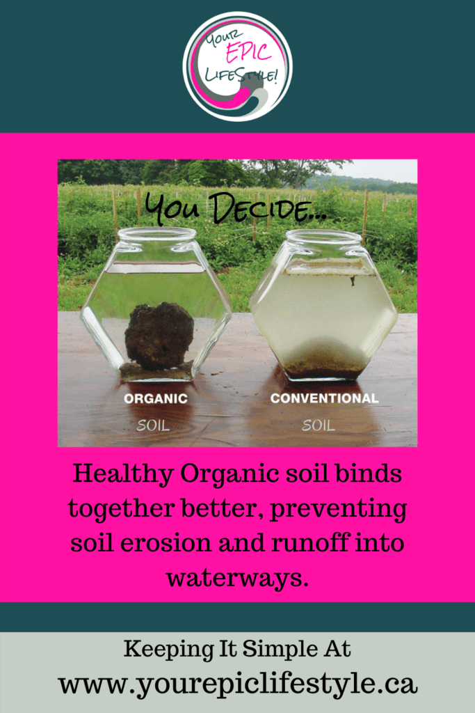 Healthy Organic soil binds together better, preventing soil erosion and runoff into waterways.